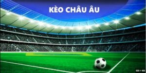 Cách hiểu và nhận diện kèo chính xác