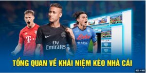 Tìm hiểu chung về Kèo nhà cái Kubet là gì?